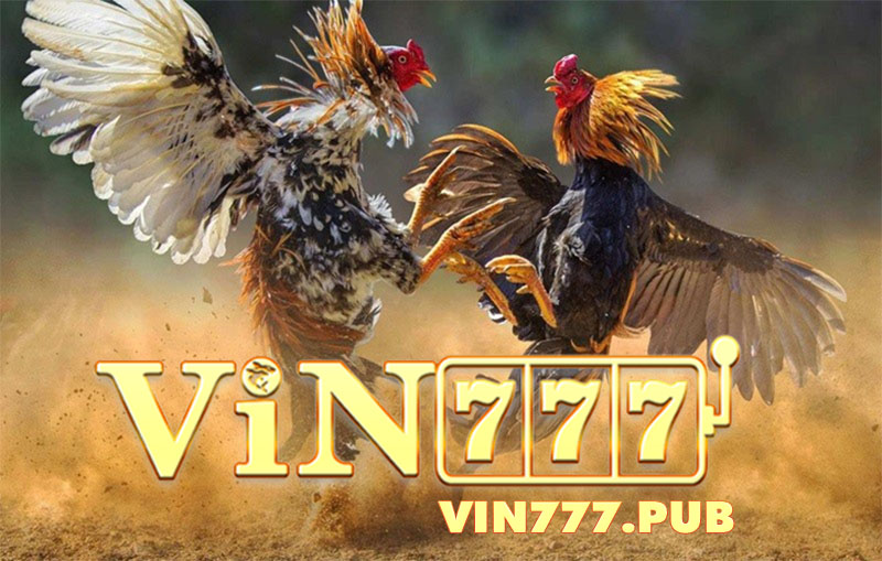 ga-da-vin777-2